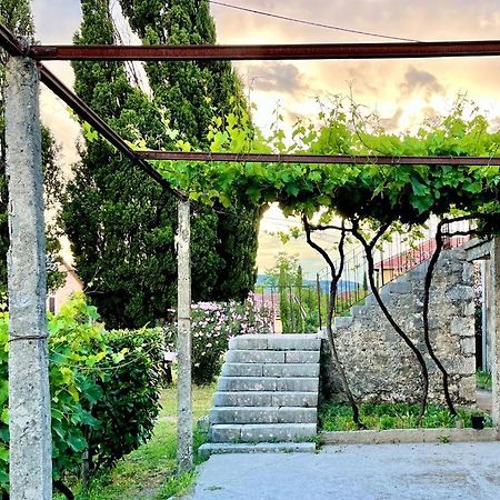 Apartman Boljevic بودغوريتْسا المظهر الخارجي الصورة
