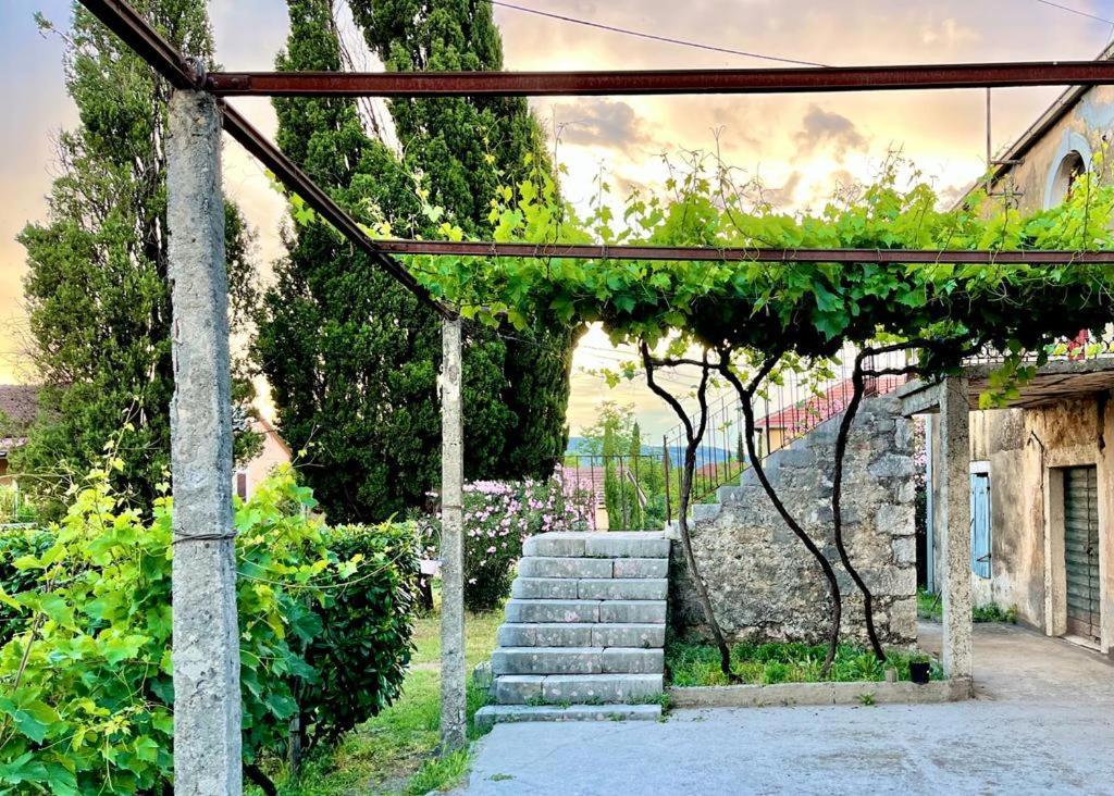 Apartman Boljevic بودغوريتْسا المظهر الخارجي الصورة