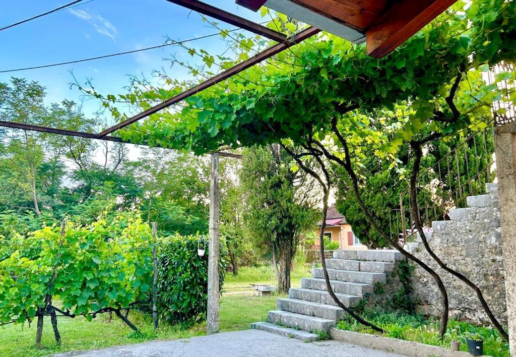 Apartman Boljevic بودغوريتْسا المظهر الخارجي الصورة